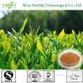 water soluble organic green tea extract for food&beverage